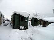 -51
