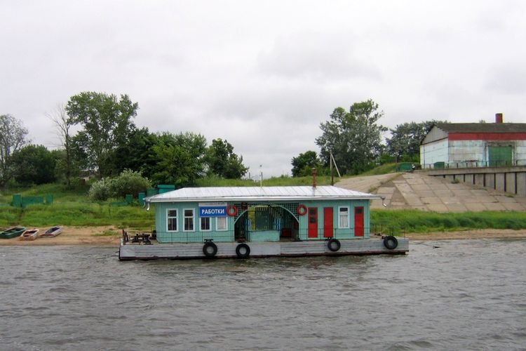     2006 